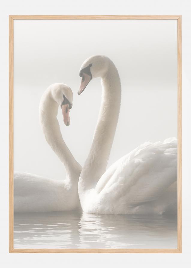 Swan Forever Poster