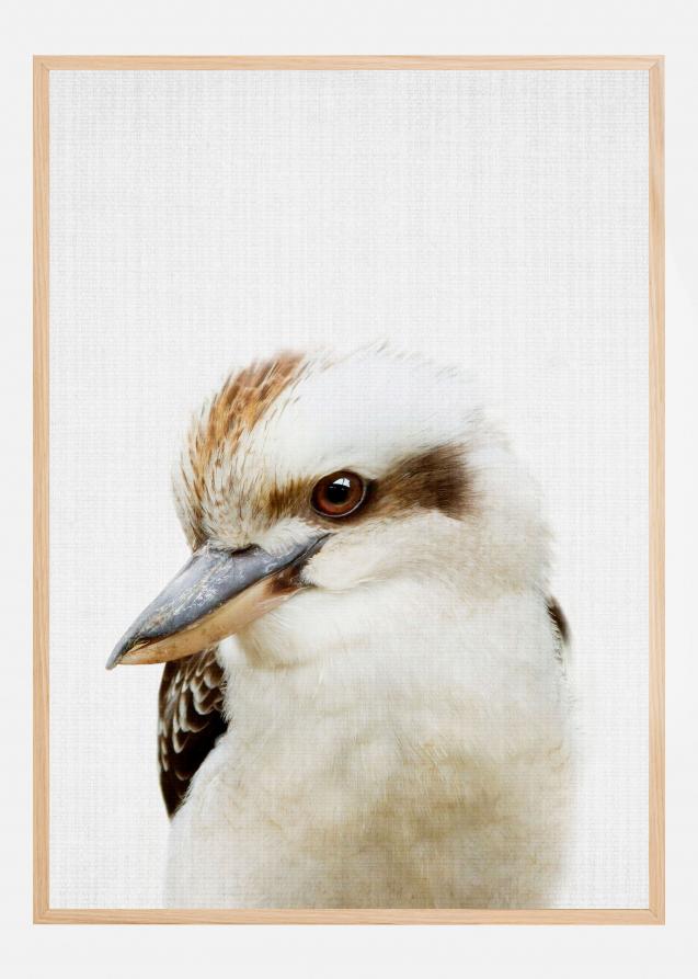 Peekaboo Kookaburra Poster