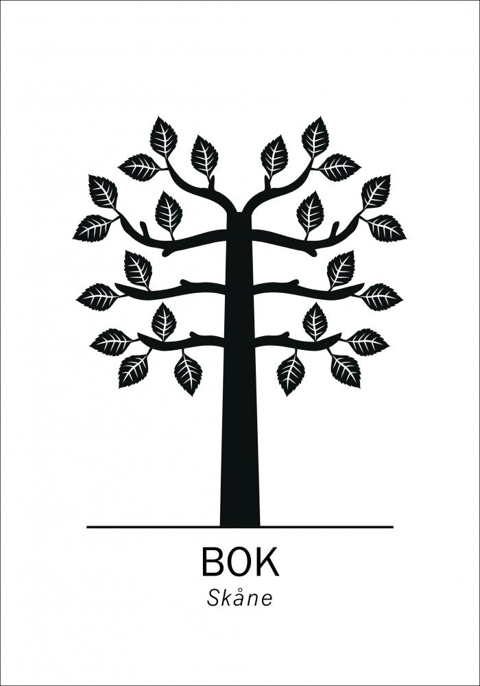 Bok - Skne Poster