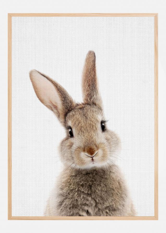 Peekaboo Bunny Poster