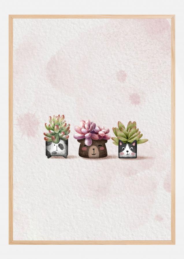 Cute Succulents Poster