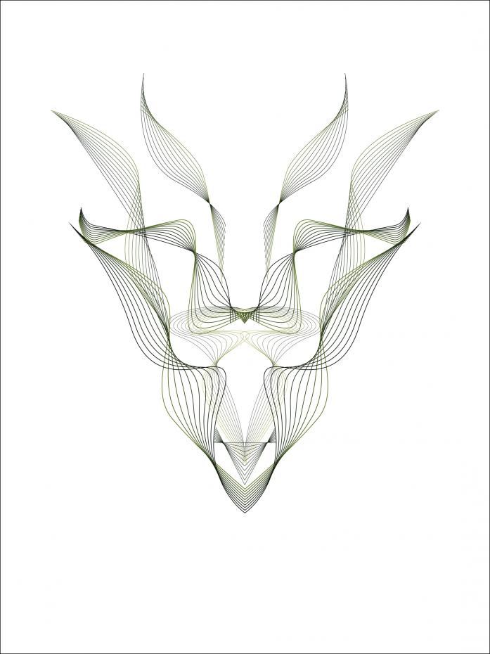 Antelope Poster