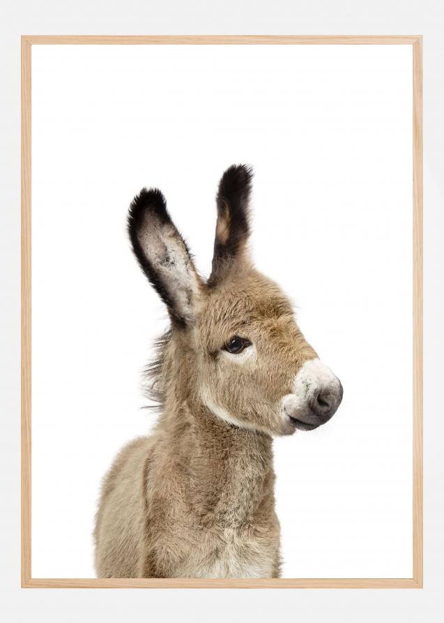 Baby Donkey Poster