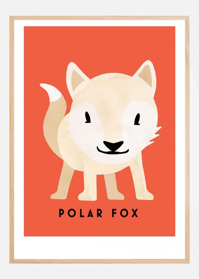 Polar Fox Poster