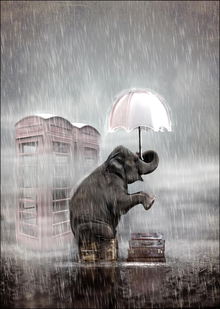 LO Art Design - A Rainy Day Poster