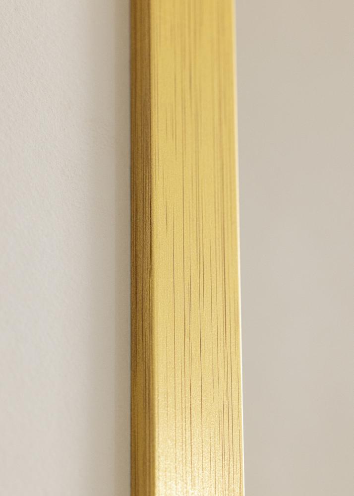 Ram Gold Wood Akrylglas 70x100 cm