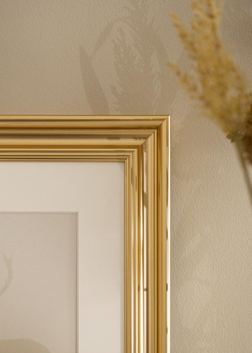 Ram Charleston Akrylglas Guld 70x100 cm