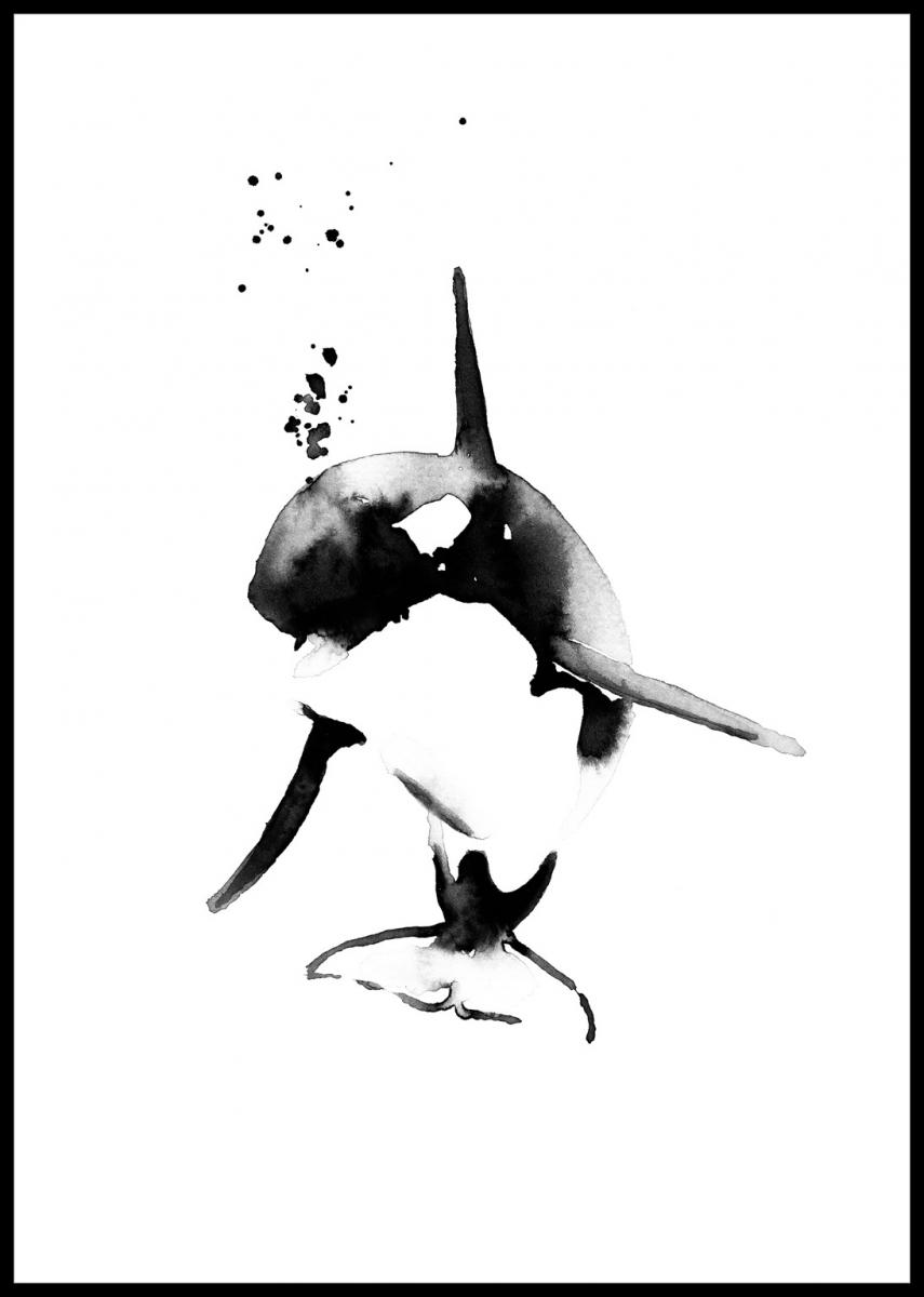 Magdaty - Mini killer whale Poster