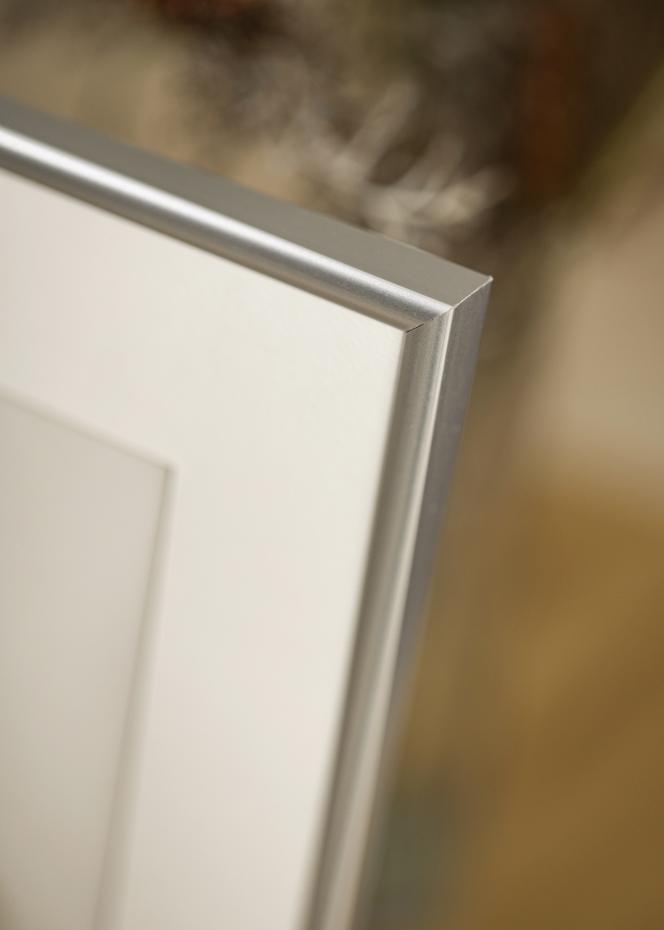 Ram Victoria Akrylglas Silver 50x70 cm