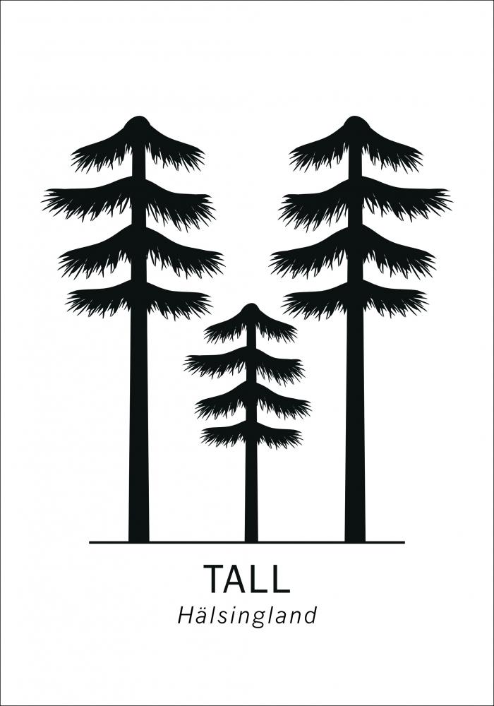 Tall - Hlsingland Poster