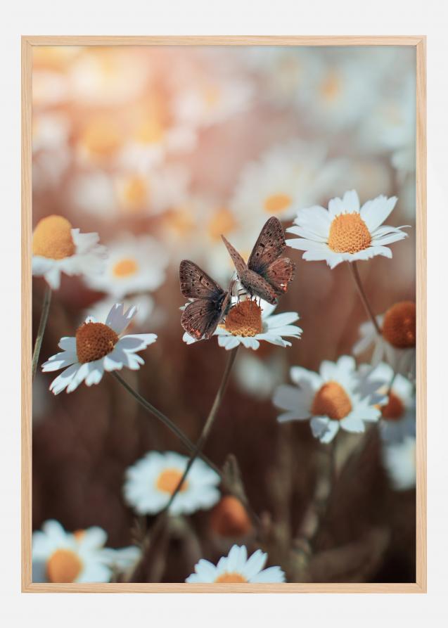 Two Butterflies Poster