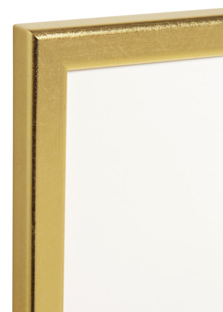 Ram Slim Matt Antireflexglas Guld 24x30 cm