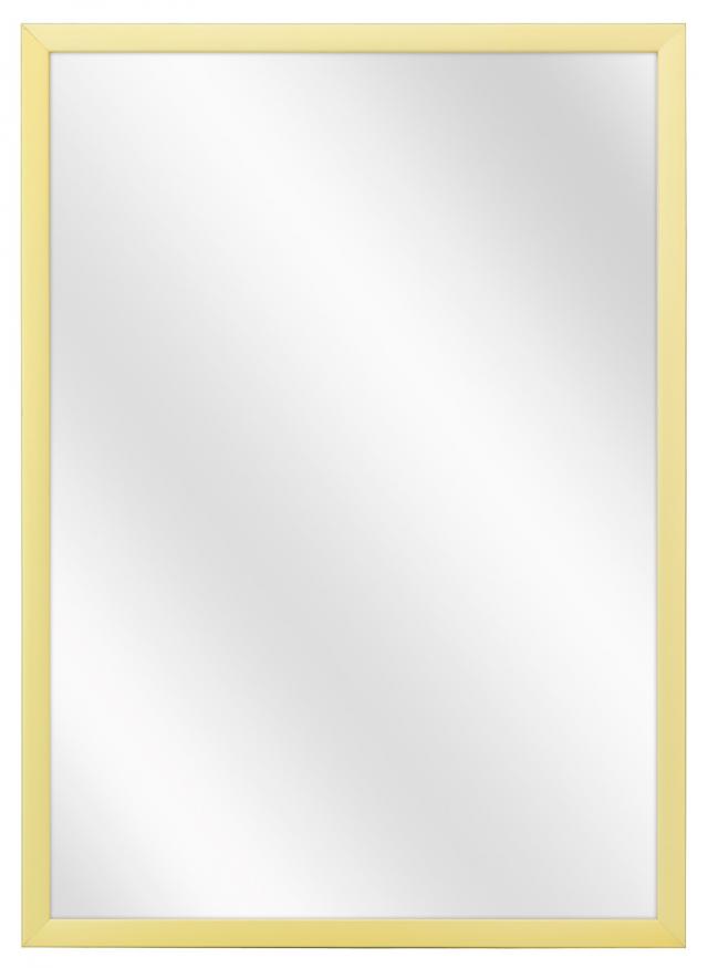 Spegel Chicago Matt Champagne 61,1x81,1 cm