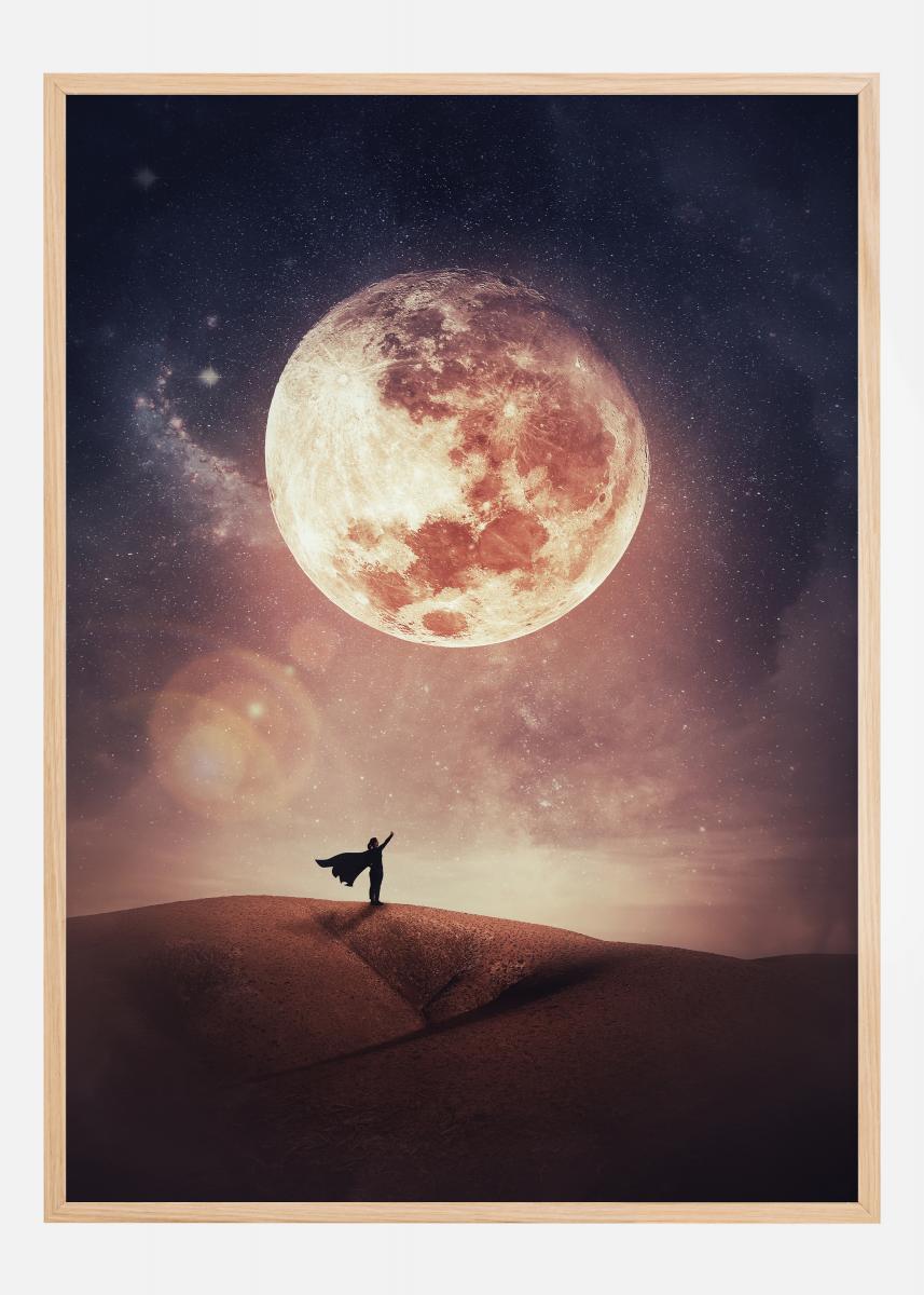 Look at the moon Poster