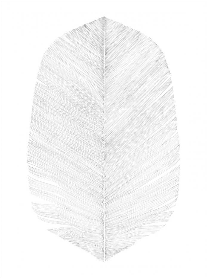 Magdaty - White feather Poster