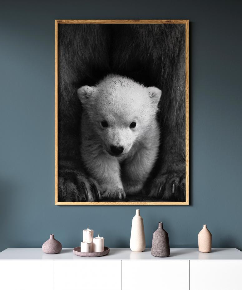 Polarbear Baby Poster