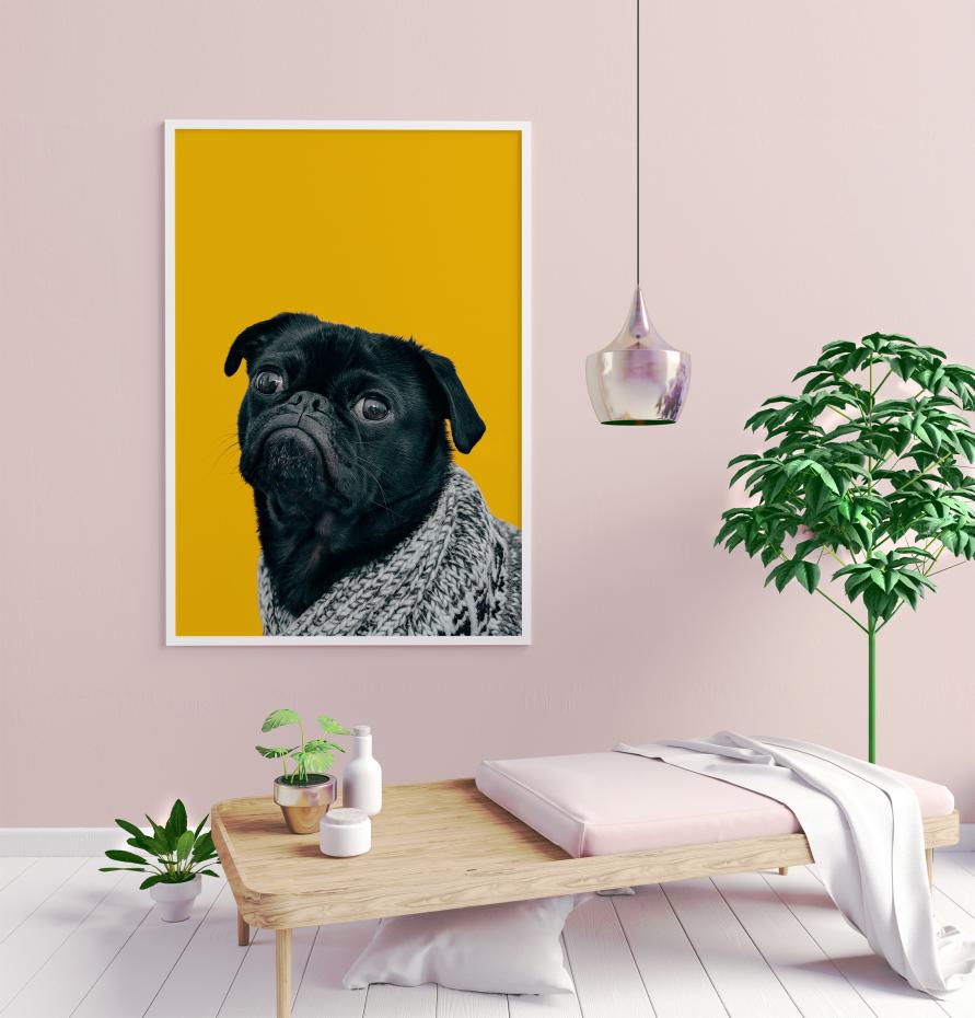 Proud Pug Poster