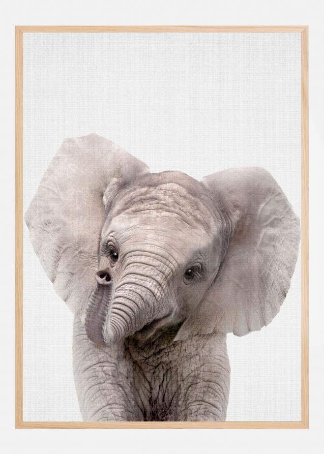 Peekaboo Baby Elephant Poster