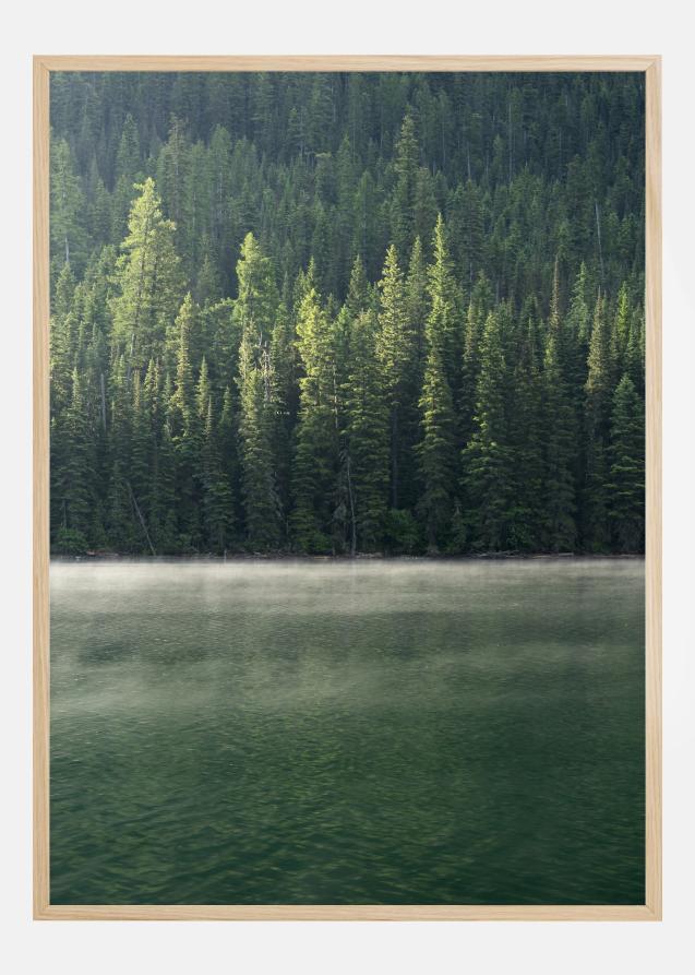 Green Forest Poster