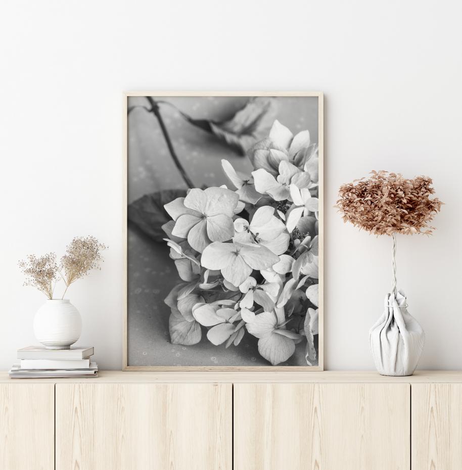 Dried Flower Bw Poster