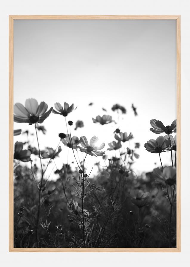 Black and white field with flowers Poster