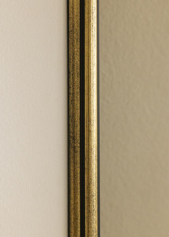Ram Horndal Akrylglas Guld 40x60 cm