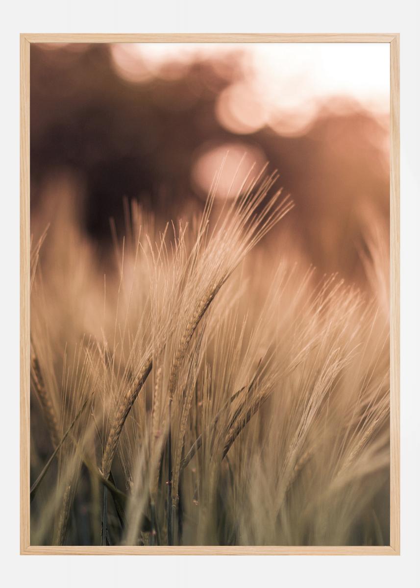 Wheat Fields I Poster