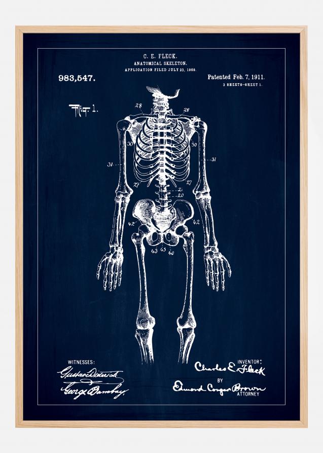 Patentritning - Anatomiskt skelett I - Blå Poster