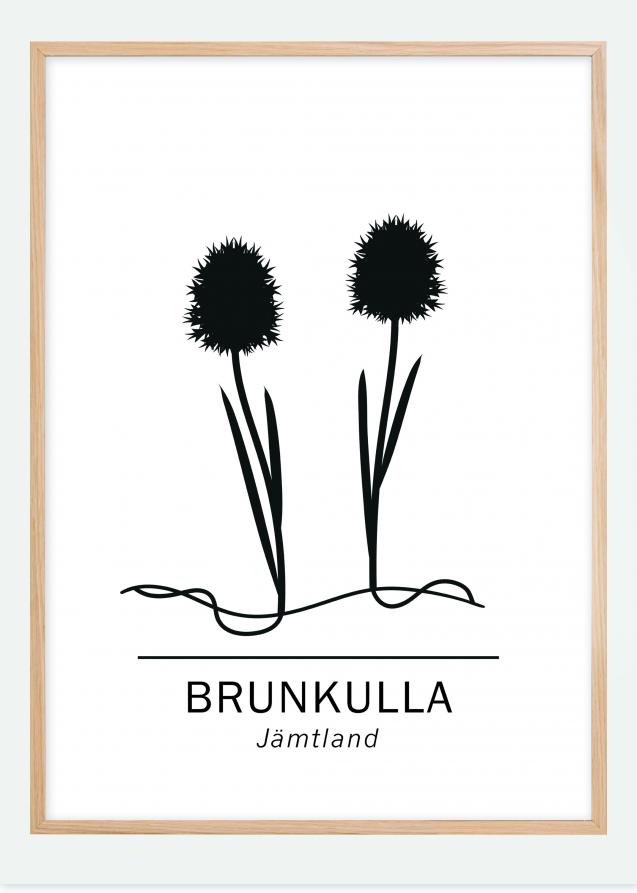 Brunkulla - Jämtland Poster