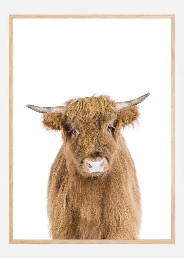 Baby Cow Poster