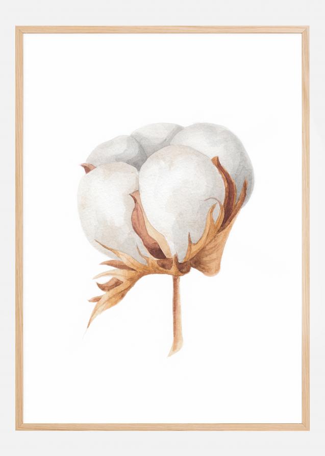 Cotton Flower Poster