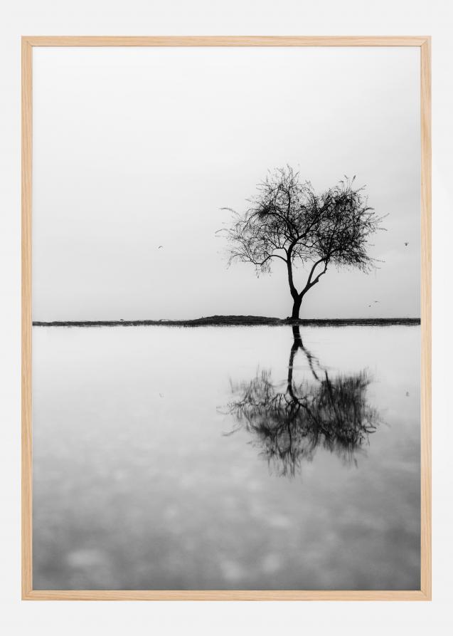 Lonely Tree Reflection Poster