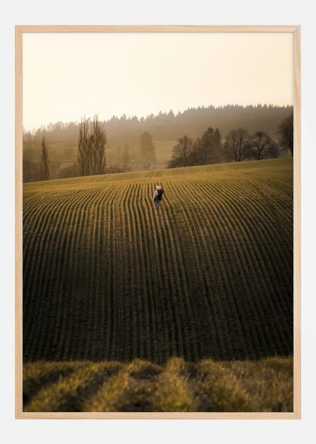 On the fields Poster