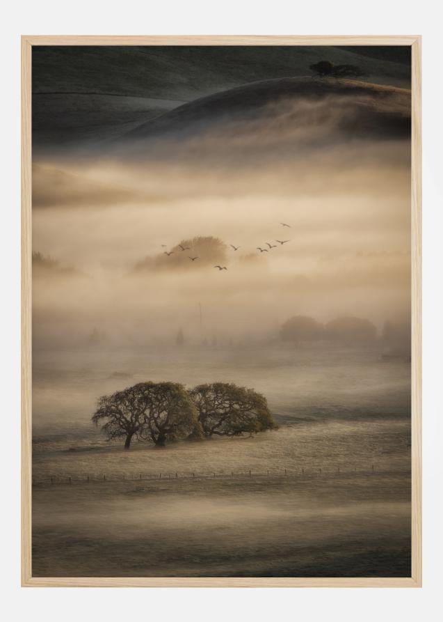 Morning Fog Poster