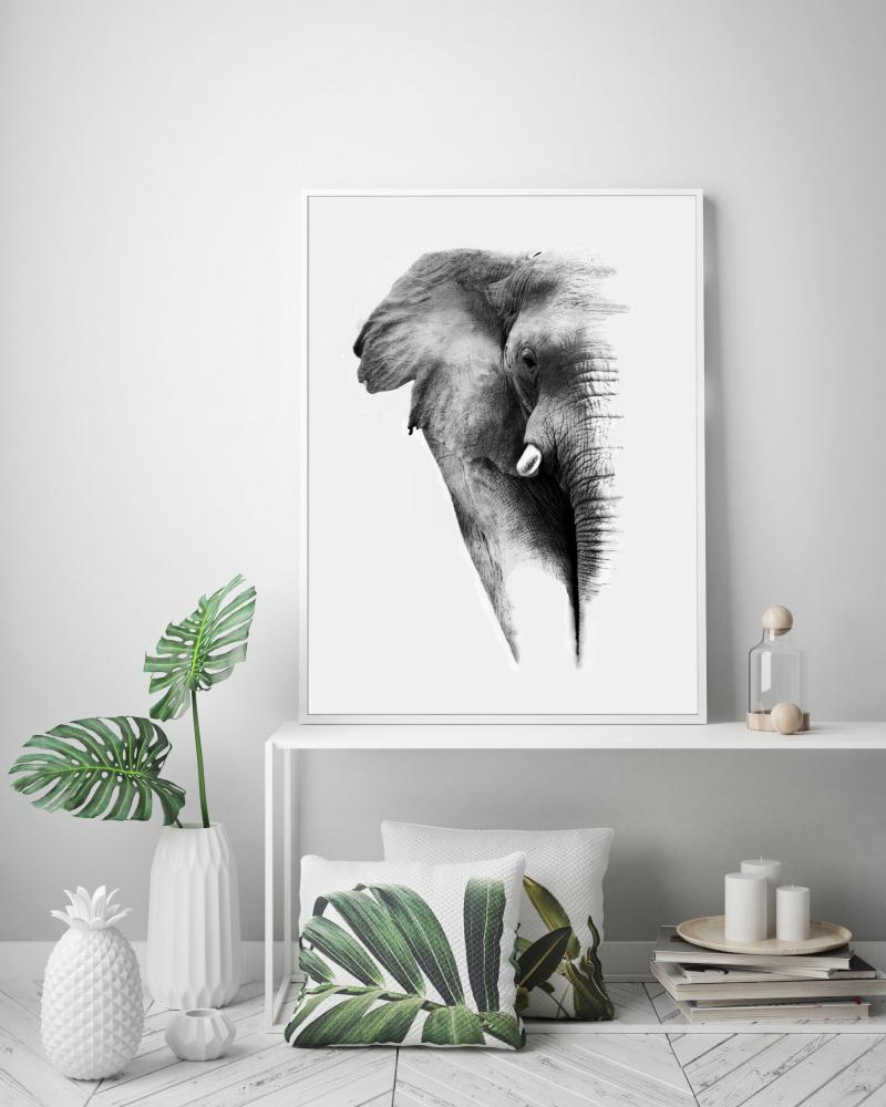 Dreamy Elephant - 50x70 cm Poster