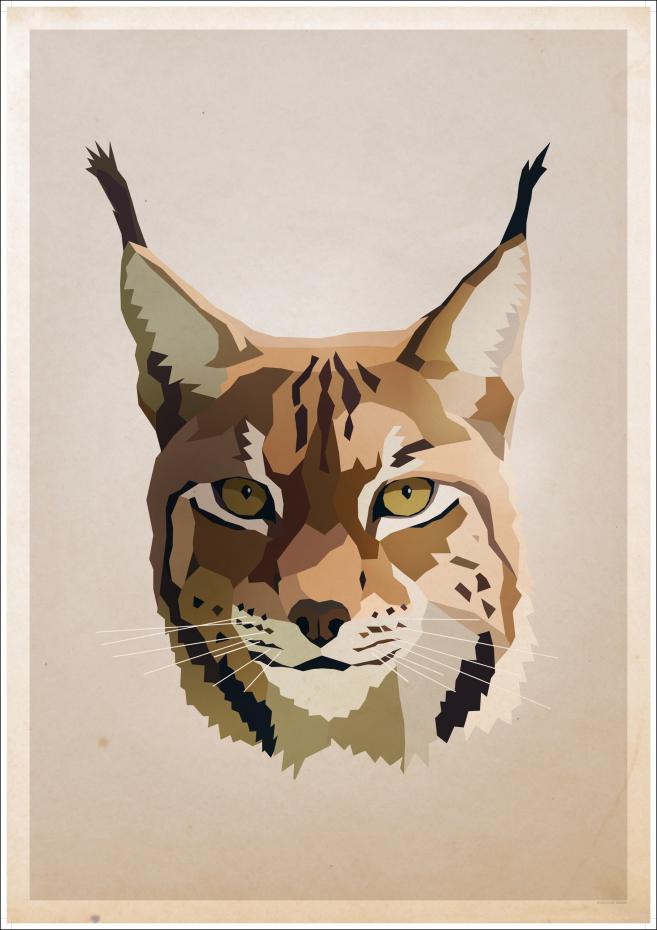 Lynx Poster