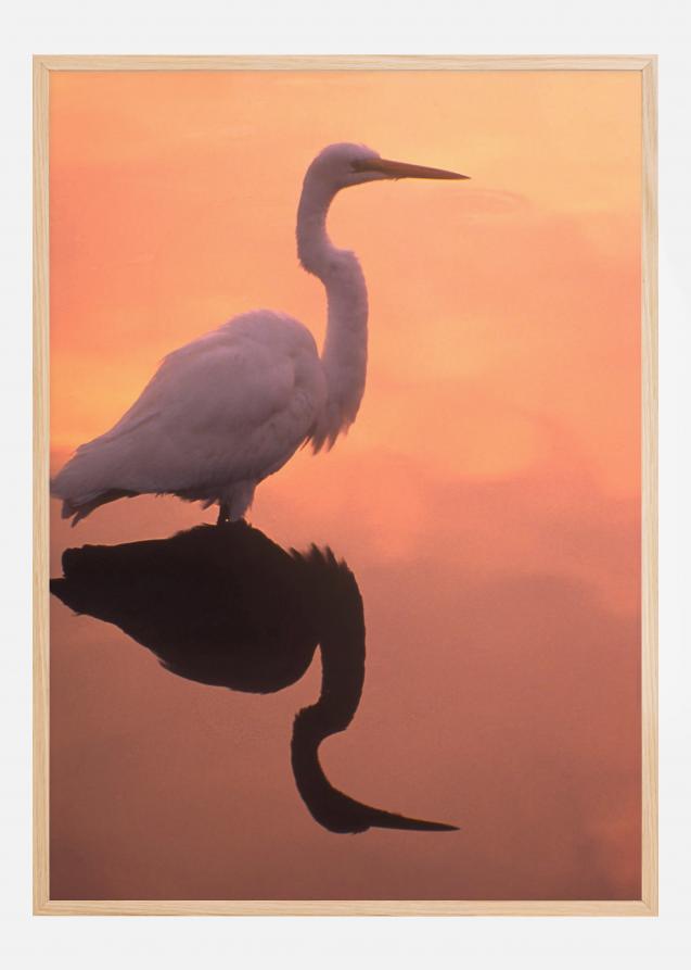 Bird In Orange Water Poster