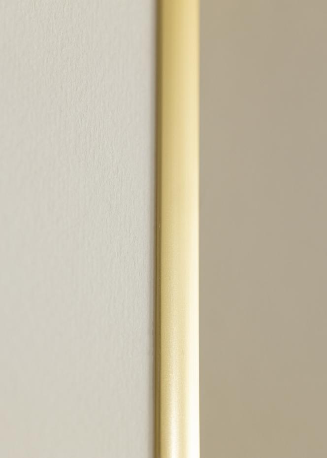 Ram New Lifestyle Akrylglas Guld 29,7x42 cm (A3)