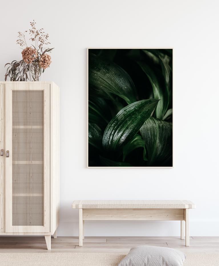 Plant Poster