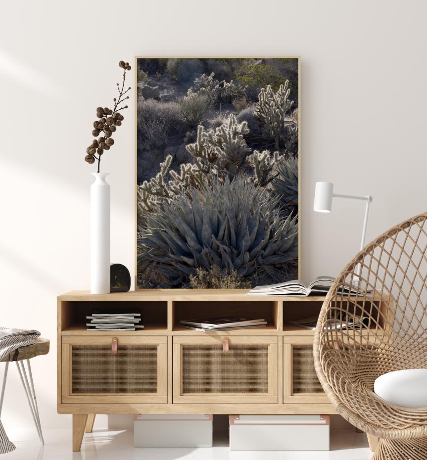 Cactus In Desert Poster