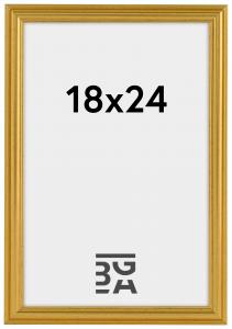 Ram Frigg Guld 18x24 cm
