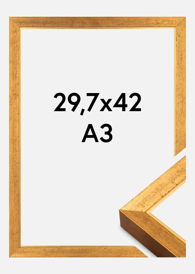 Ram Brema Akrylglas Guld 29,7x42 cm (A3)