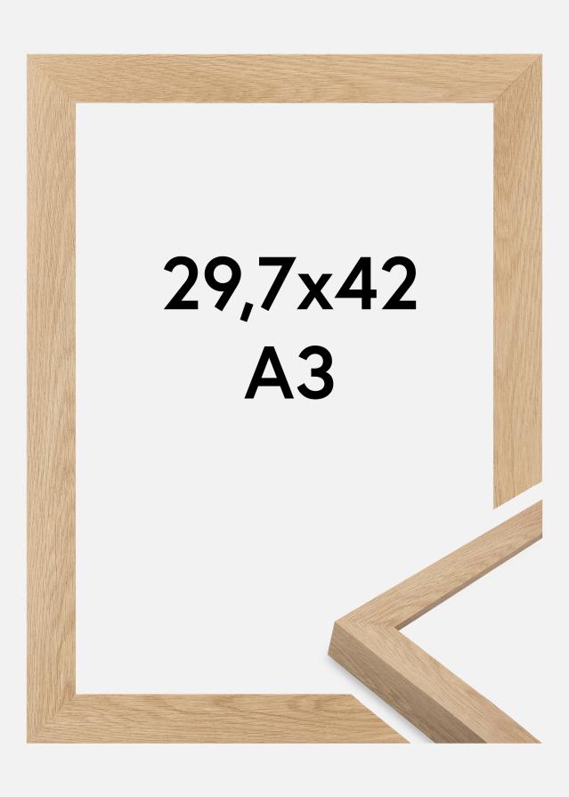 Ram Wells Akrylglas Ek 29,7x42 cm (A3)