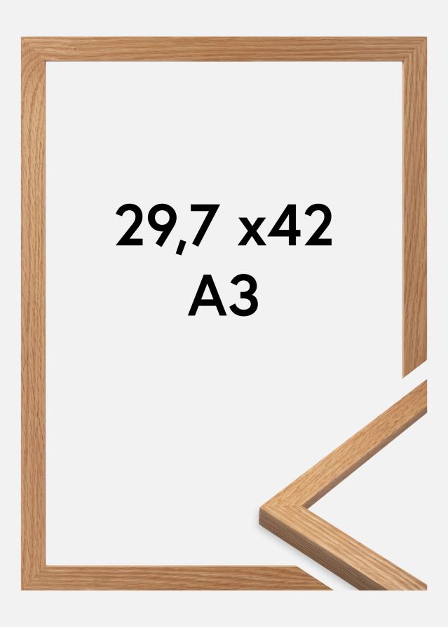 Premium by BGA Ek 29,7x42 cm (A3)