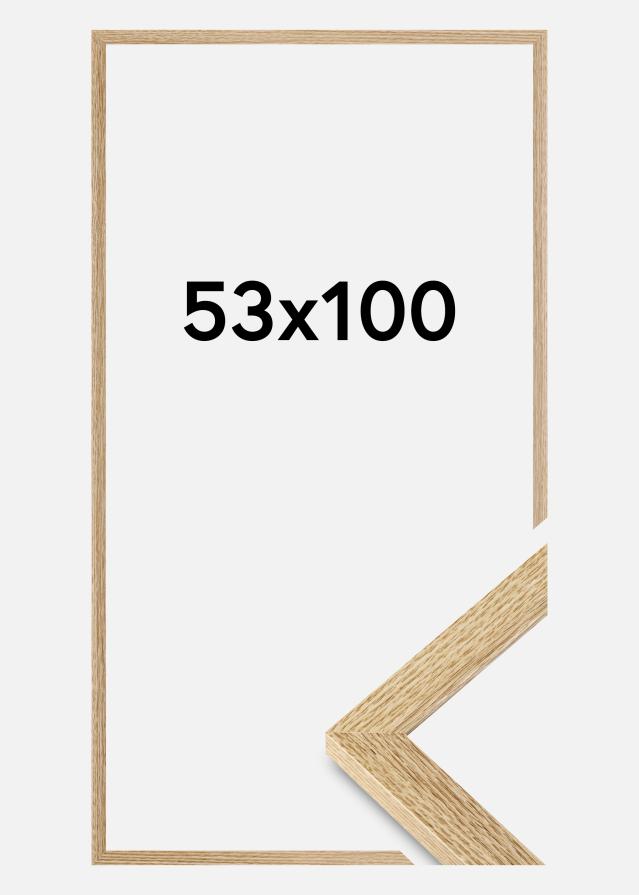 Ram Selection Akrylglas Ek 53x100 cm