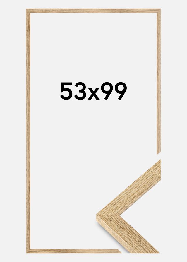 Ram Selection Akrylglas Ek 53x99 cm