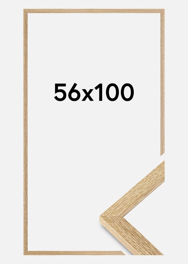 Ram Selection Akrylglas Ek 56x100 cm