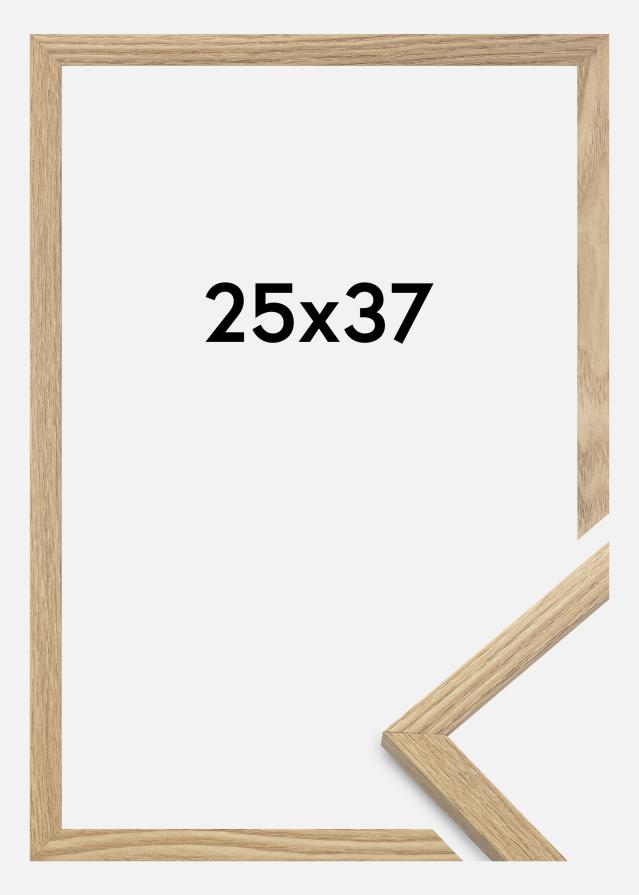 Ram Trendy Akrylglas Ek 25x37 cm