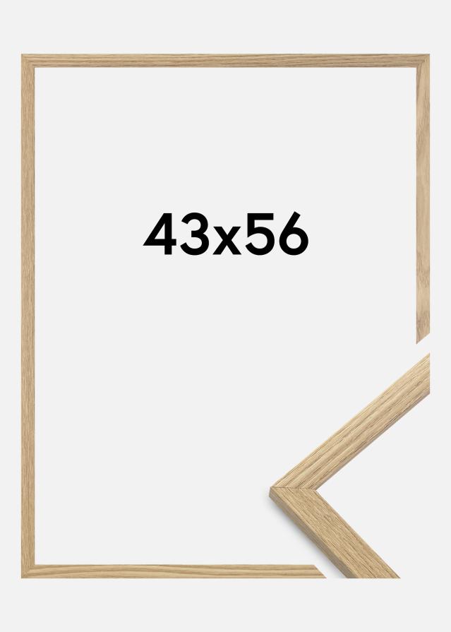 Ram Trendy Akrylglas Ek 43x56 cm