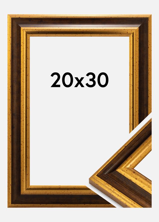 Ram Aberystwyth Akrylglas Guld 20x30 cm